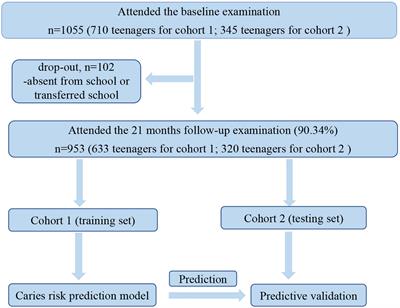 A New Model for Caries Risk Prediction in Teenagers Using a Machine Learning Algorithm Based on Environmental and Genetic Factors